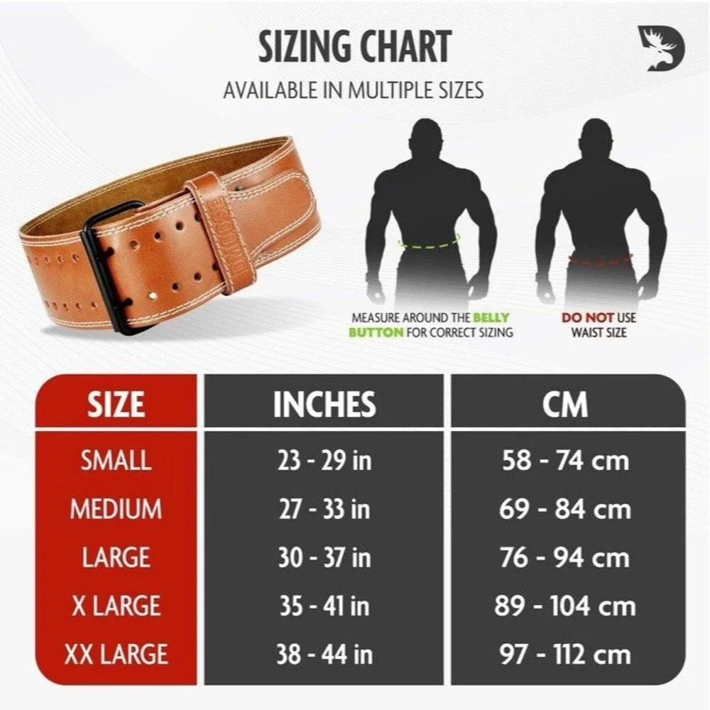 D Moose Fitness Weight Lifting Belt Thick Cushioned Lumbar Support Gym Size L